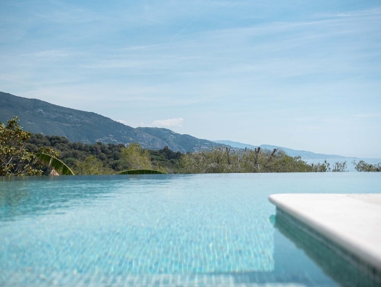 We Assist With Tax, Legal & Immigration Matters